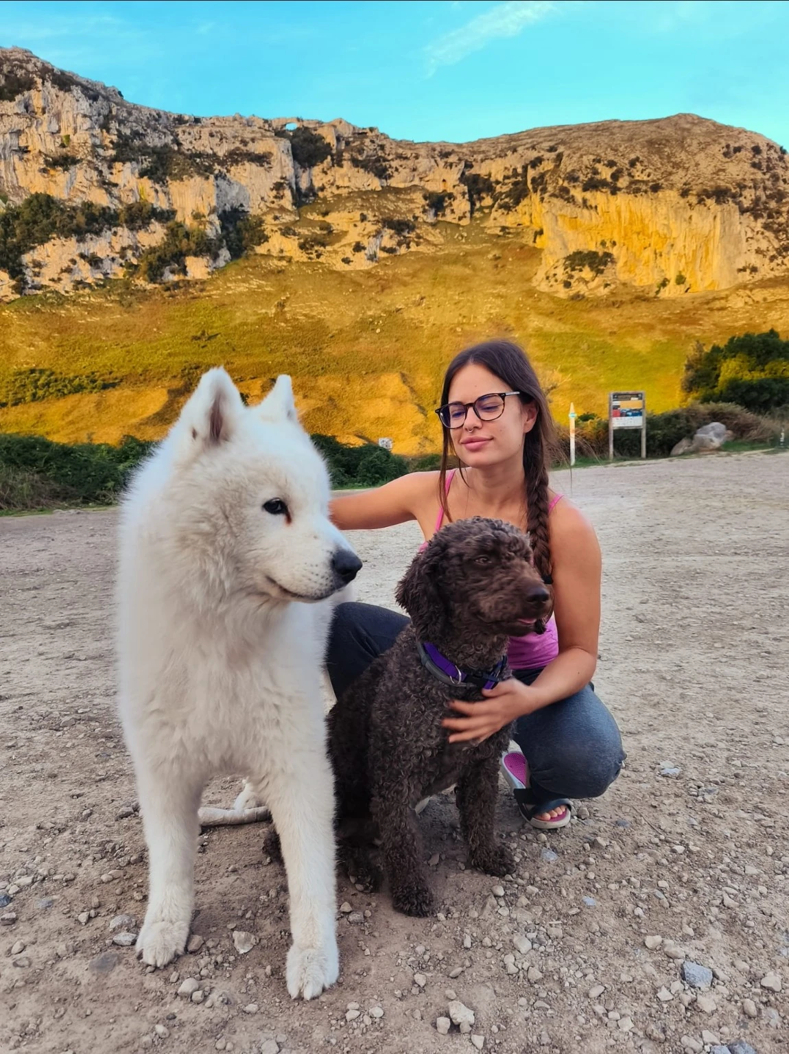 Una persona junto a dos perros frente a un paisaje de montaña.