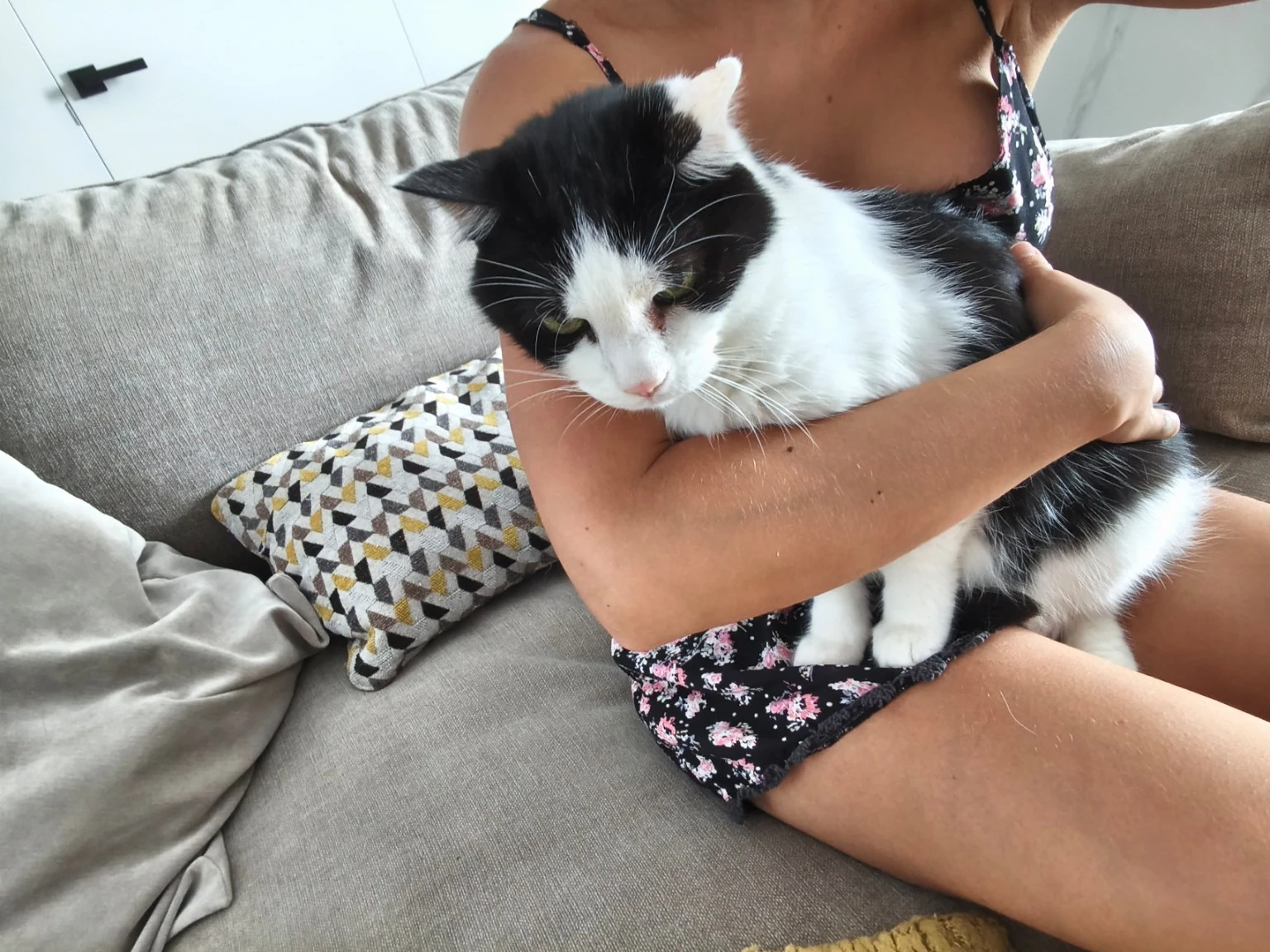 Un gato blanco y negro en brazos de una persona sentada en el sofá.