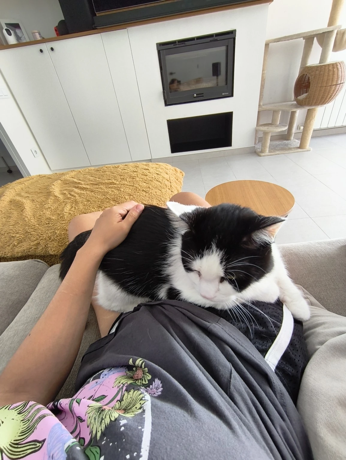 Un gato blanco y negro descansa sobre una persona en el sofá.